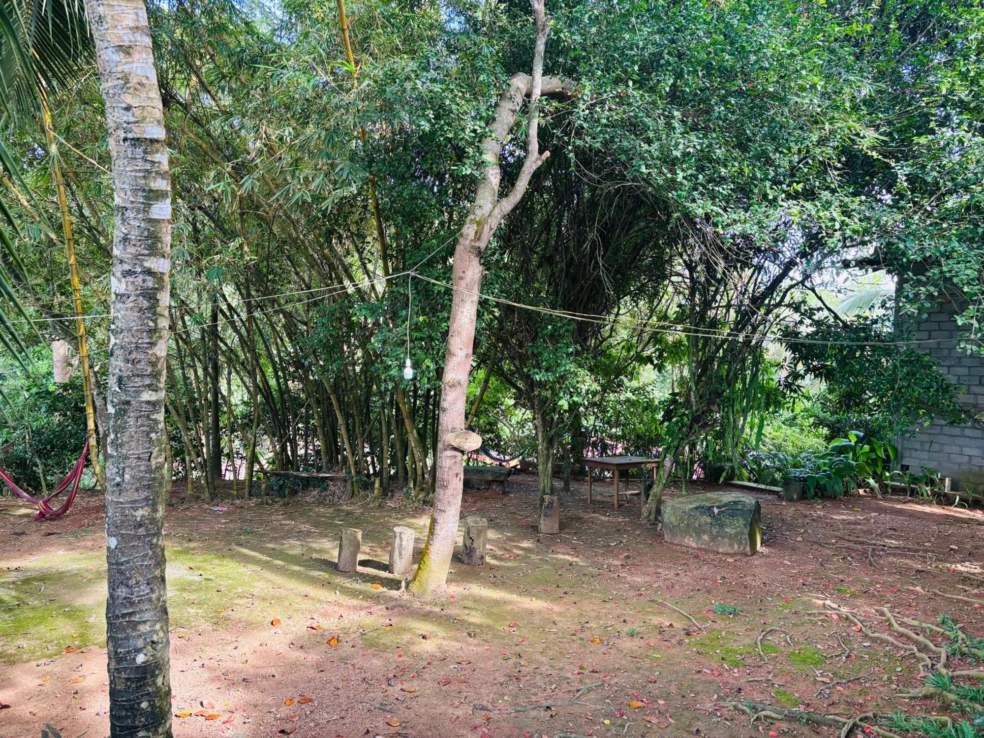Eco Garden Hiriketiya Hotel Dikwella Exterior foto