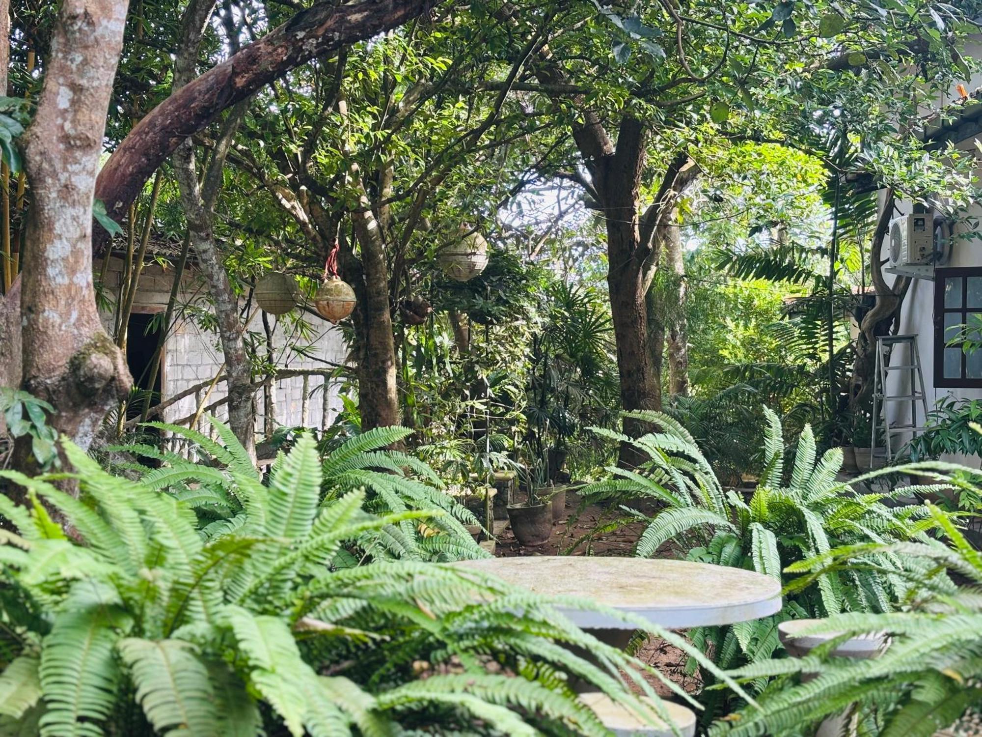 Eco Garden Hiriketiya Hotel Dikwella Exterior foto