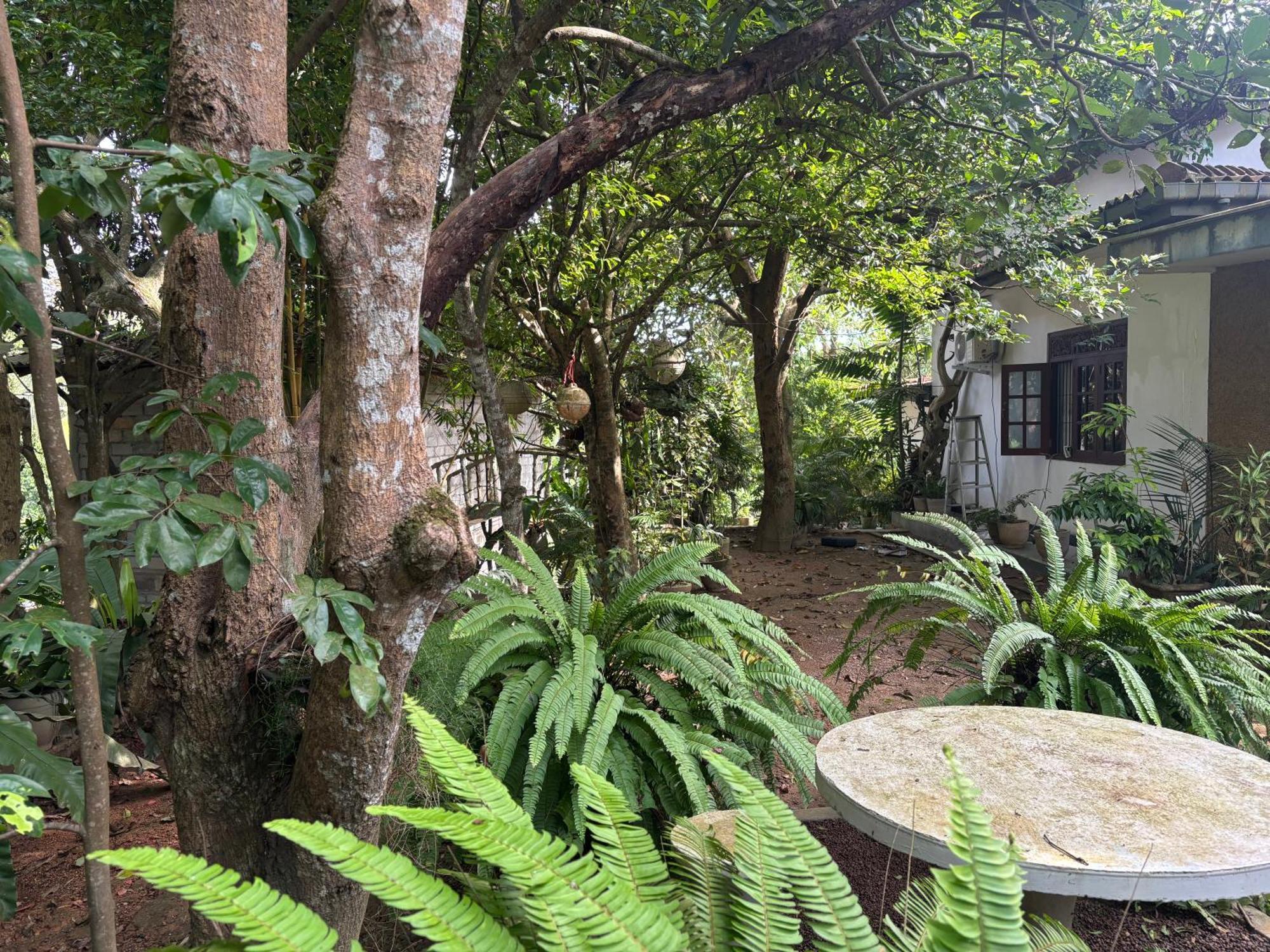 Eco Garden Hiriketiya Hotel Dikwella Exterior foto