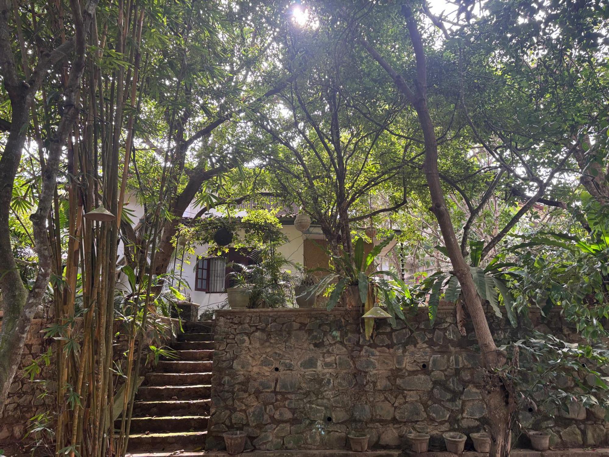 Eco Garden Hiriketiya Hotel Dikwella Exterior foto