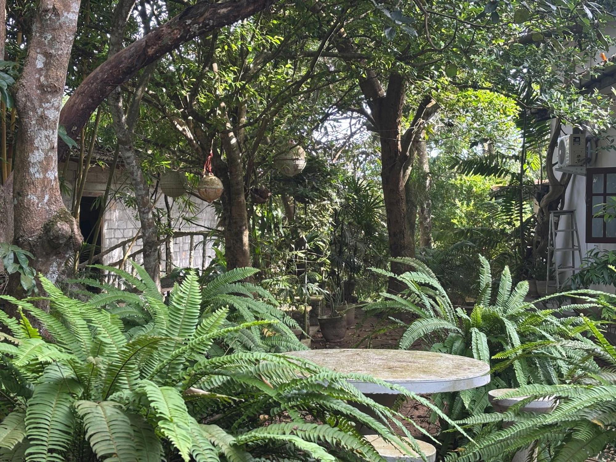 Eco Garden Hiriketiya Hotel Dikwella Exterior foto