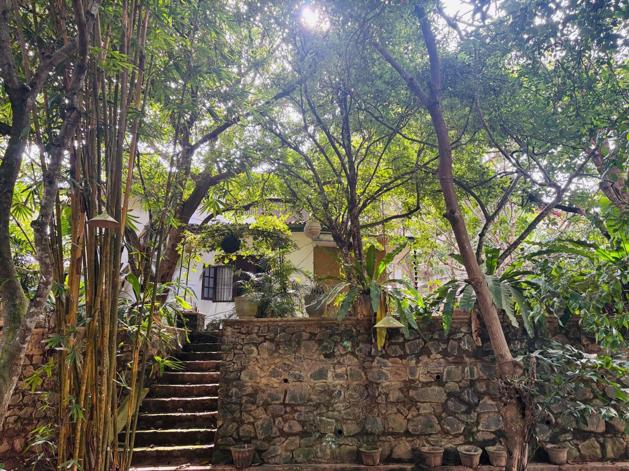 Eco Garden Hiriketiya Hotel Dikwella Exterior foto