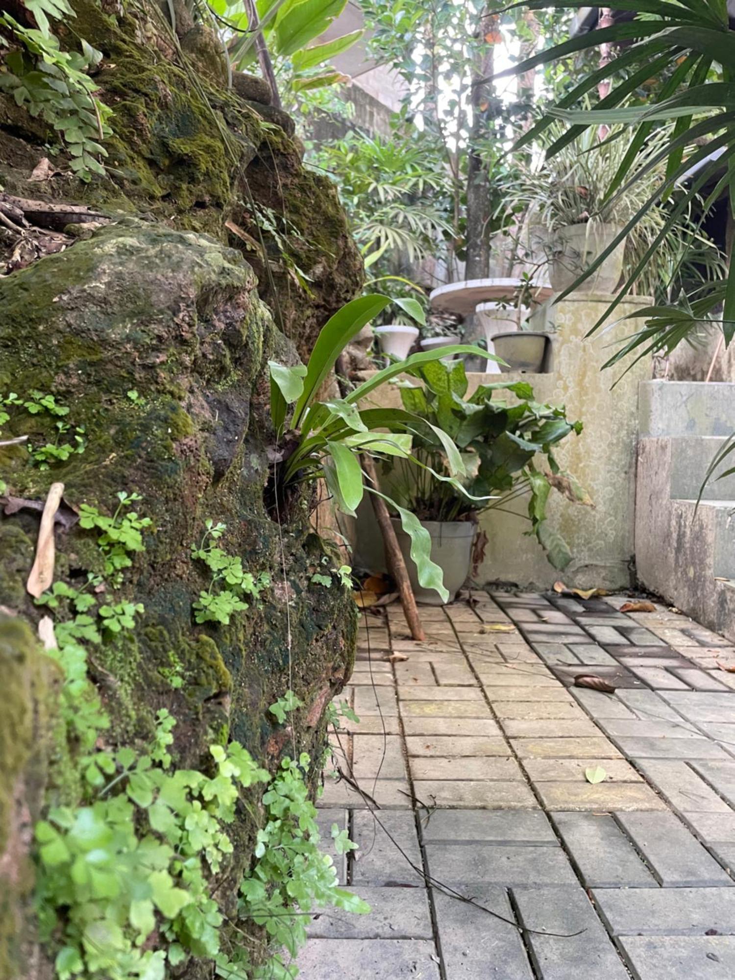 Eco Garden Hiriketiya Hotel Dikwella Exterior foto