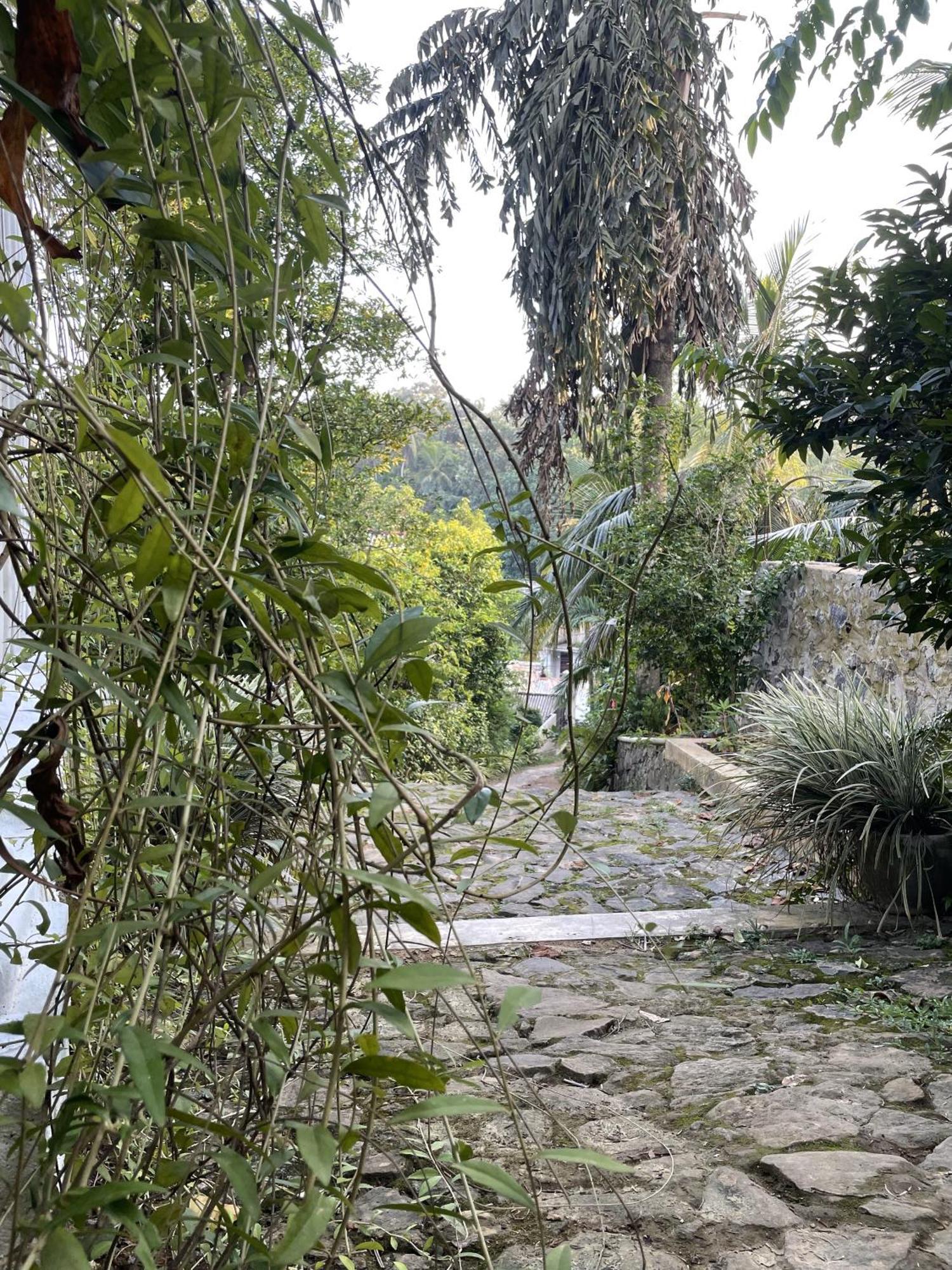 Eco Garden Hiriketiya Hotel Dikwella Exterior foto